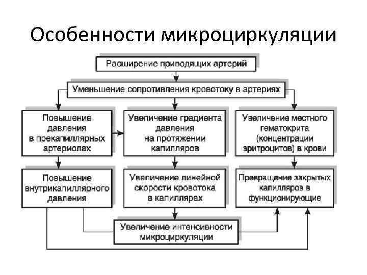 Особенности микроциркуляции 