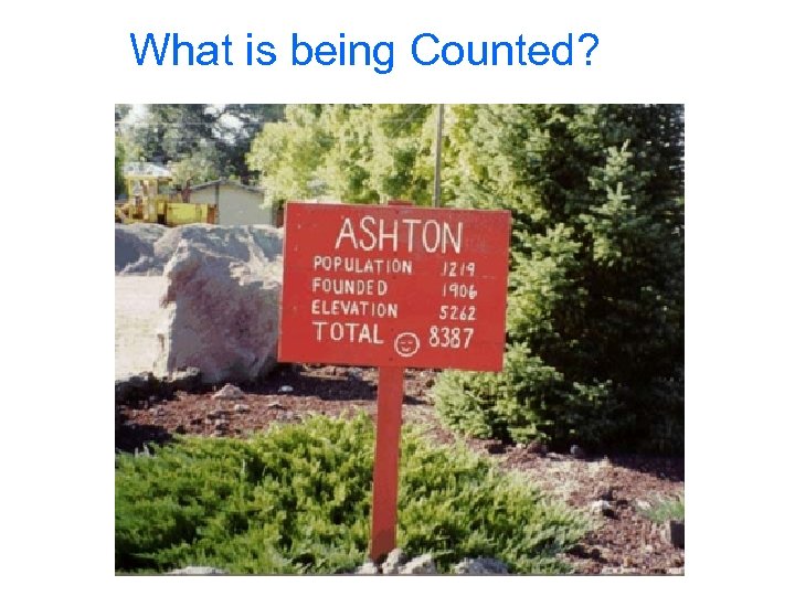 What is being Counted? 
