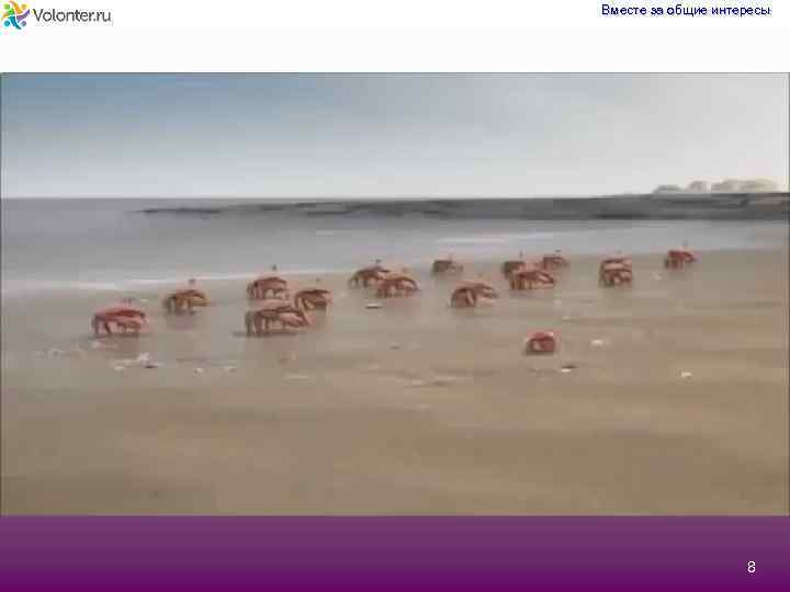 Вместе за общие интересы 8 