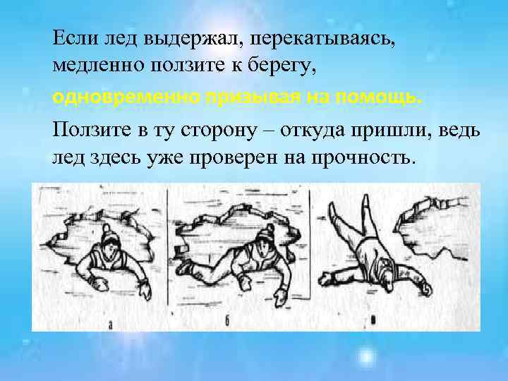Если лед выдержал, перекатываясь, медленно ползите к берегу, одновременно призывая на помощь. Ползите в