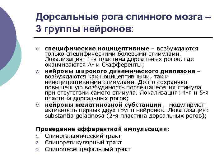 Дорсальные рога спинного мозга – 3 группы нейронов: ¡ ¡ ¡ специфические ноцицептивные –