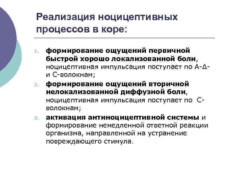 Реализация ноцицептивных процессов в коре: 1. 2. 3. формирование ощущений первичной быстрой хорошо локализованной