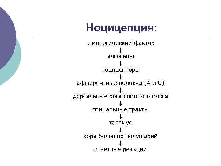 Ноцицепция: этиологический фактор ↓ алгогены ↓ ноцицепторы ↓ афферентные волокна (А и С) ↓