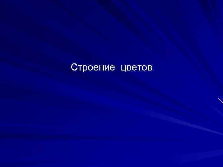Строение цветов 