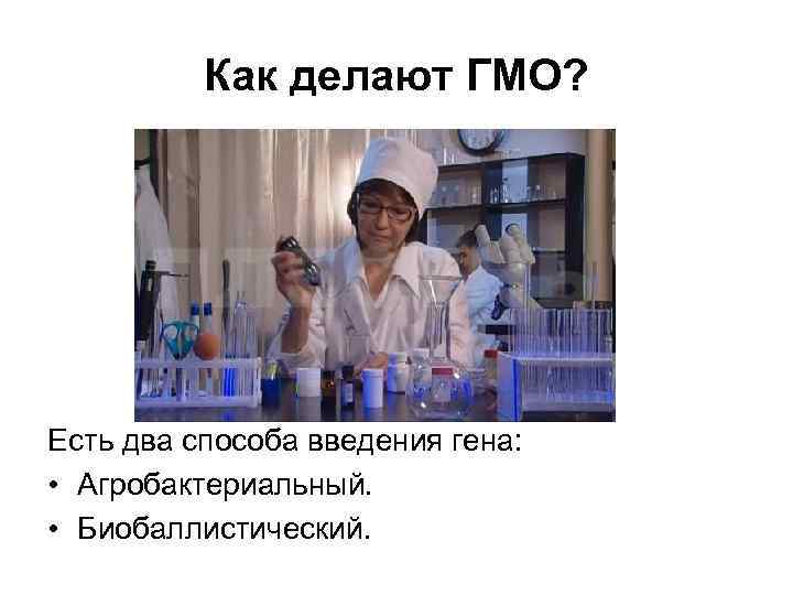 Как делают ГМО? Есть два способа введения гена: • Агробактериальный. • Биобаллистический. 