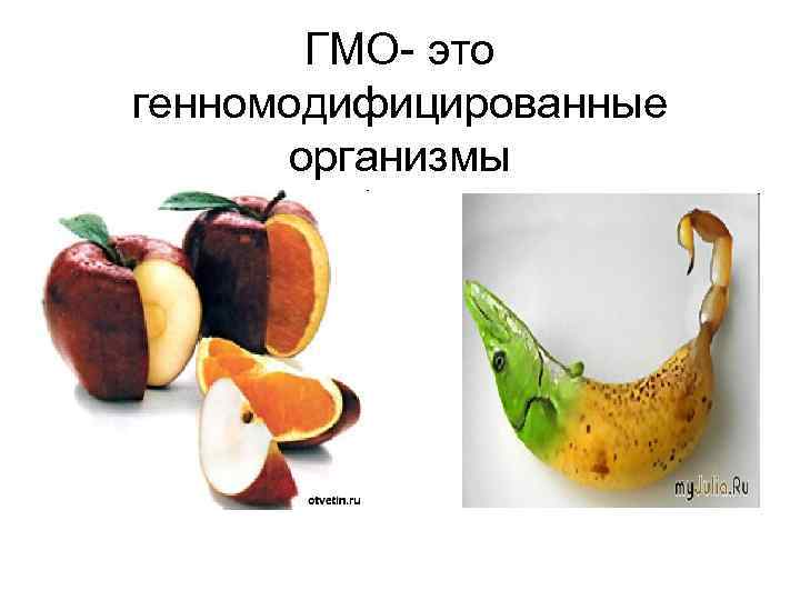 ГМО- это генномодифицированные организмы 