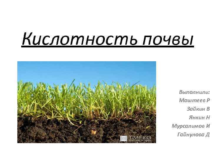 Виды кислых почв. Слабокислый грунт. Кислотность почвы в степи. Кислотность степных почв.