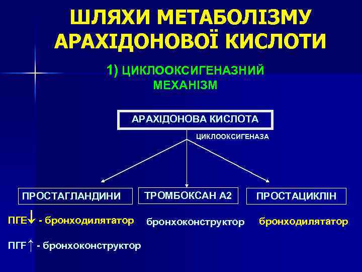 ШЛЯХИ МЕТАБОЛІЗМУ АРАХІДОНОВОЇ КИСЛОТИ 1) ЦИКЛООКСИГЕНАЗНИЙ МЕХАНІЗМ АРАХІДОНОВА КИСЛОТА ЦИКЛООКСИГЕНАЗА ПРОСТАГЛАНДИНИ ПГЕ - бронходилятатор