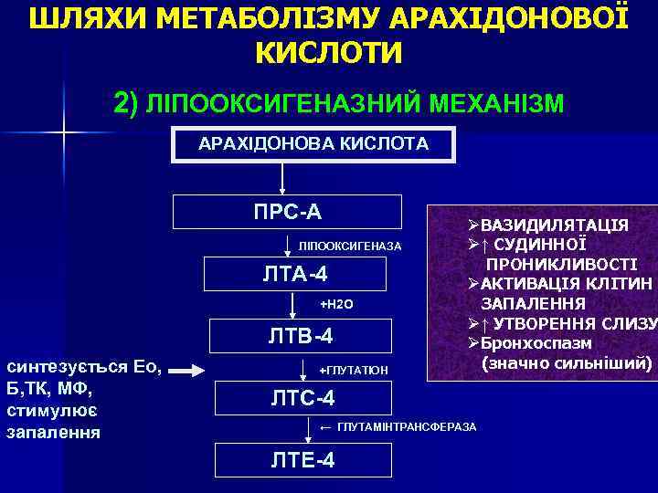 ШЛЯХИ МЕТАБОЛІЗМУ АРАХІДОНОВОЇ КИСЛОТИ 2) ЛІПООКСИГЕНАЗНИЙ МЕХАНІЗМ АРАХІДОНОВА КИСЛОТА ПРС-А ЛІПООКСИГЕНАЗА ЛТА-4 +Н 2