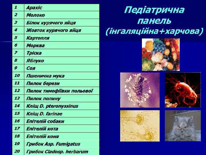 1 Арахіс 2 Молоко 3 Білок курячого яйця 4 Жовток курячого яйця 5 Картопля