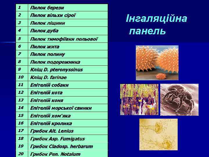 1 Пилок берези 2 Пилок вільхи сірої 3 Пилок ліщини 4 Пилок дуба 5