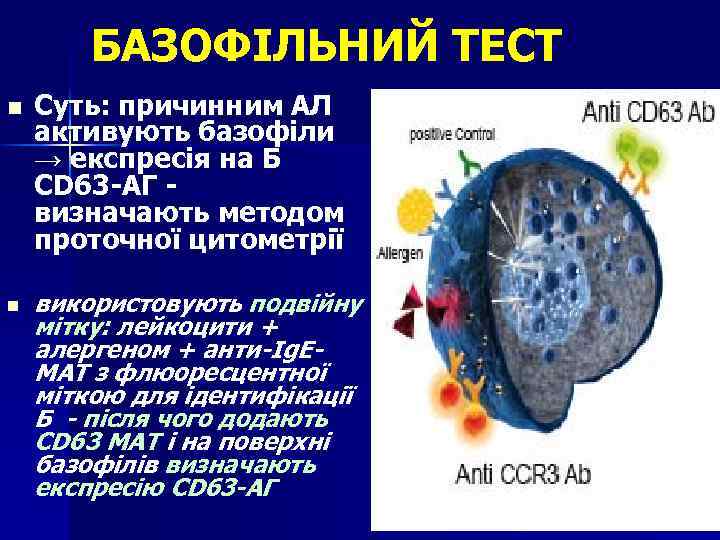 БАЗОФІЛЬНИЙ ТЕСТ n n Суть: причинним АЛ активують базофіли → експресія на Б CD