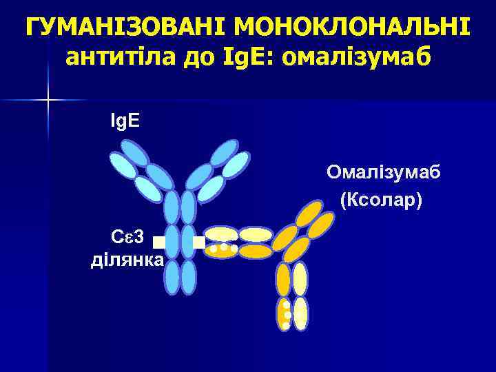 ГУМАНІЗОВАНІ МОНОКЛОНАЛЬНІ антитіла до Ig. E: омалізумаб Ig. E Омалізумаб (Ксолар) C 3 ділянка