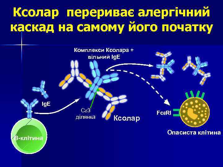 Ксолар перериває алергічний каскад на самому його початку Комплекси Ксолара + вільний Ig. E
