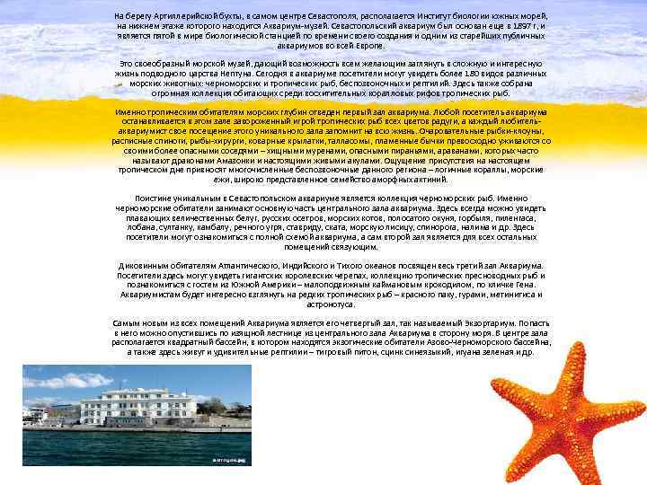 На берегу Артиллерийской бухты, в самом центре Севастополя, располагается Институт биологии южных морей, на