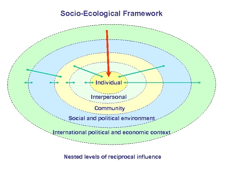 Socio-Ecological Framework Individual Interpersonal Community Social and political environment International political and economic context