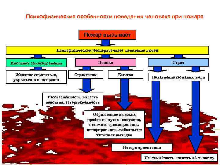  Психофизические особенности поведения человека при пожаре Пожар вызывает Психофизическое (беспорядочное) поведение людей Паника