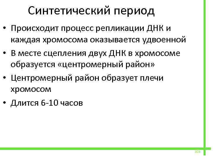  Синтетический период • Происходит процесс репликации ДНК и каждая хромосома оказывается удвоенной •