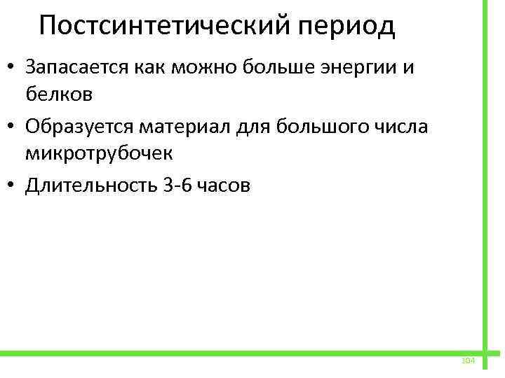  Постсинтетический период • Запасается как можно больше энергии и белков • Образуется материал