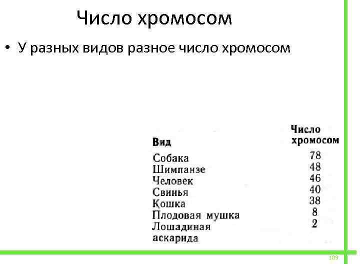  Число хромосом • У разных видов разное число хромосом 109 