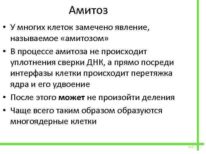  Амитоз • У многих клеток замечено явление, называемое «амитозом» • В процессе амитоза