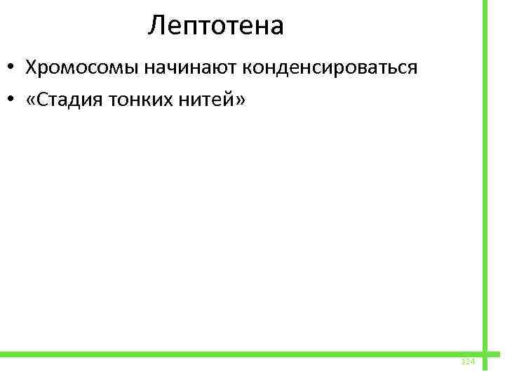  Лептотена • Хромосомы начинают конденсироваться • «Стадия тонких нитей» 124 