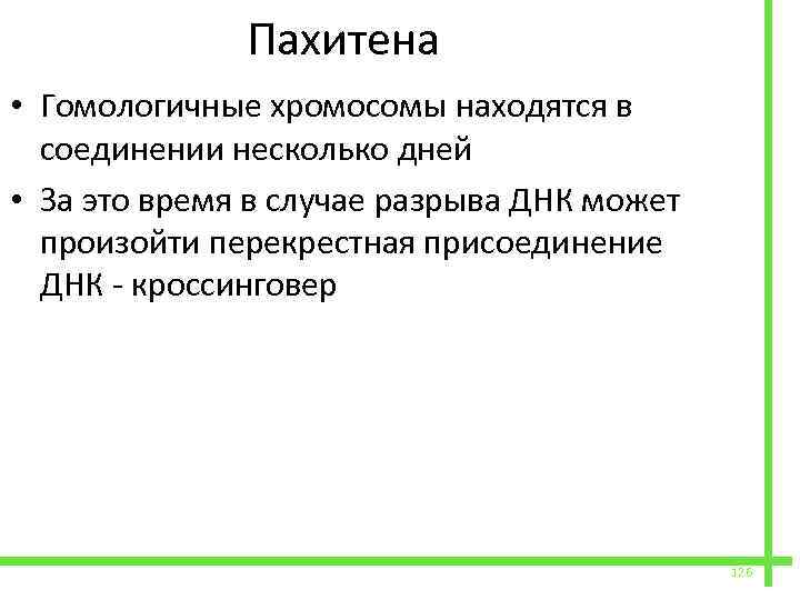  Пахитена • Гомологичные хромосомы находятся в соединении несколько дней • За это время