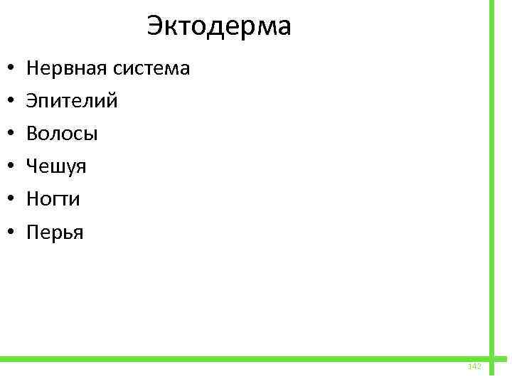  • • • Эктодерма Нервная система Эпителий Волосы Чешуя Ногти Перья 142 