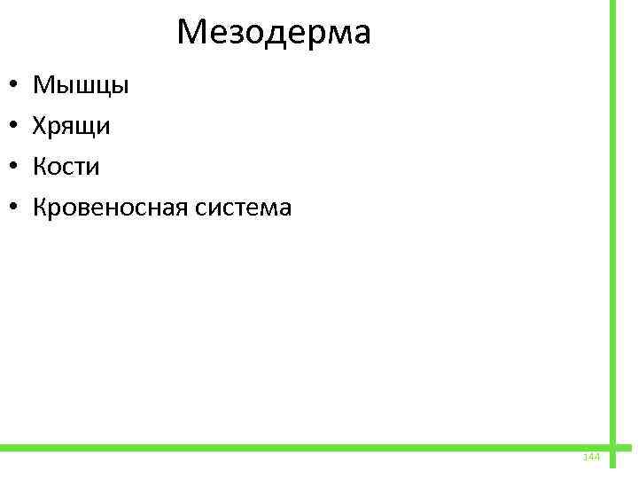  • • Мезодерма Мышцы Хрящи Кости Кровеносная система 144 