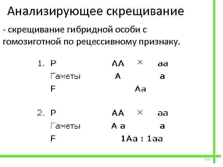  Анализирующее скрещивание - скрещивание гибридной особи с гомозиготной по рецессивному признаку. 158 