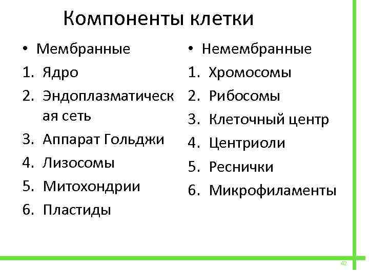  • Мембранные 1. Ядро 2. Эндоплазматическ ая сеть 3. Аппарат Гольджи 4. Лизосомы