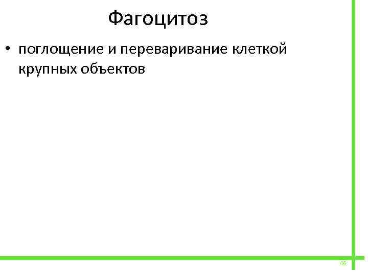  Фагоцитоз • поглощение и переваривание клеткой крупных объектов 46 