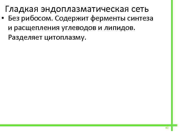  Гладкая эндоплазматическая сеть • Без рибосом. Содержит ферменты синтеза и расщепления углеводов и