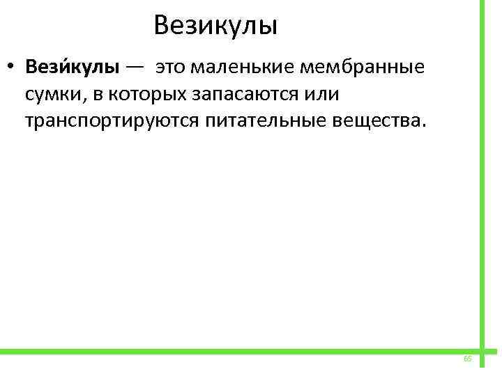  Везикулы • Вези кулы — это маленькие мембранные сумки, в которых запасаются или