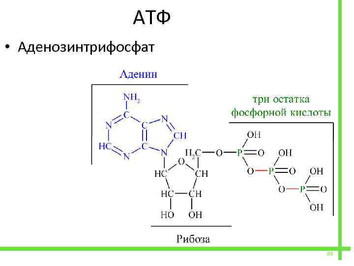  АТФ • Аденозинтрифосфат 84 