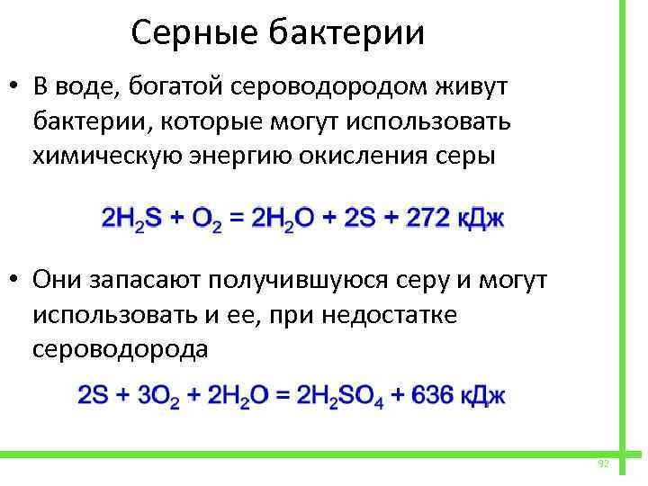  Серные бактерии • В воде, богатой сероводородом живут бактерии, которые могут использовать химическую