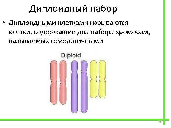 Набор хромосом клетки называют