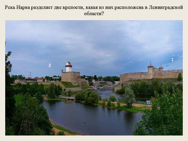Река Нарва разделяет две крепости, какая из них расположена в Ленинградской области? 1 2