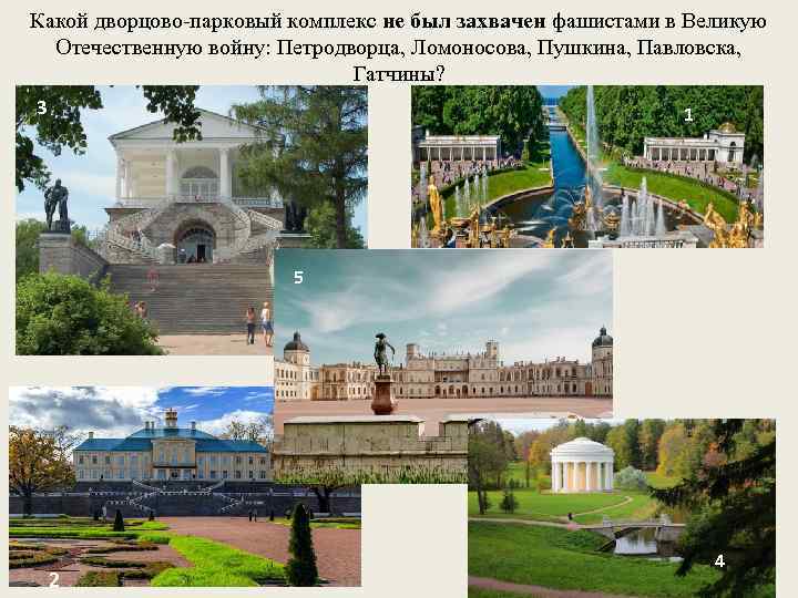 Какой дворцово-парковый комплекс не был захвачен фашистами в Великую Отечественную войну: Петродворца, Ломоносова, Пушкина,