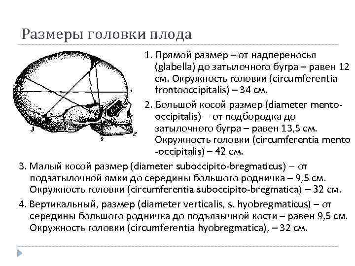 Размеры головки плода 1. Прямой размер – от надпереносья (glabella) до затылочного бугра –