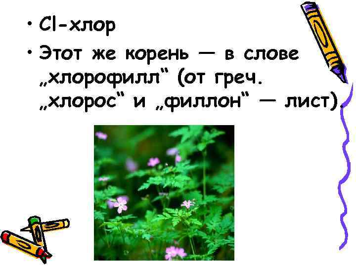  • Сl-хлор • Этот же корень — в слове „хлорофилл“ (от греч. „хлорос“