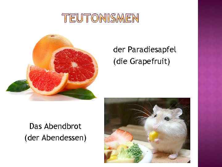 TEUTONISMEN der Paradiesapfel (die Grapefruit) Das Abendbrot (der Abendessen) 