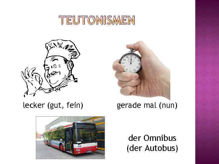 TEUTONISMEN lecker (gut, fein) gerade mal (nun) der Omnibus (der Autobus) 