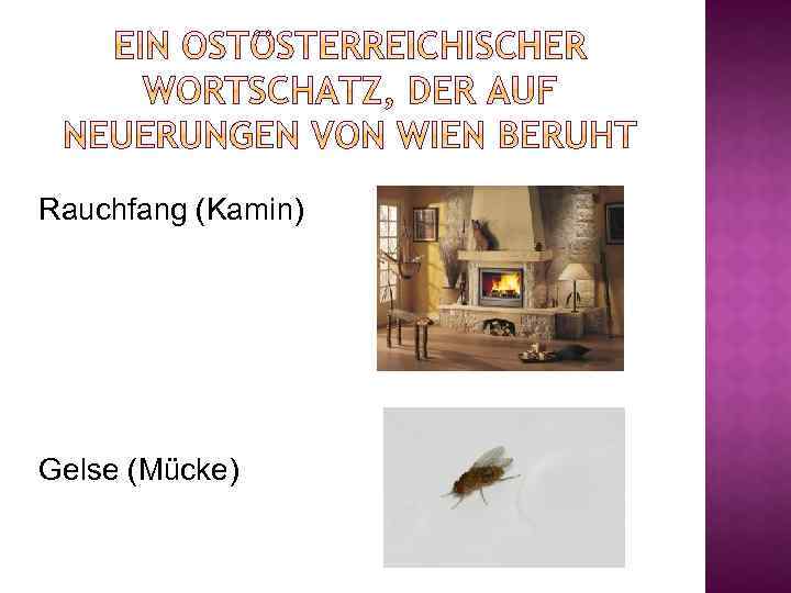 Rauchfang (Kamin) Gelse (Mücke) 