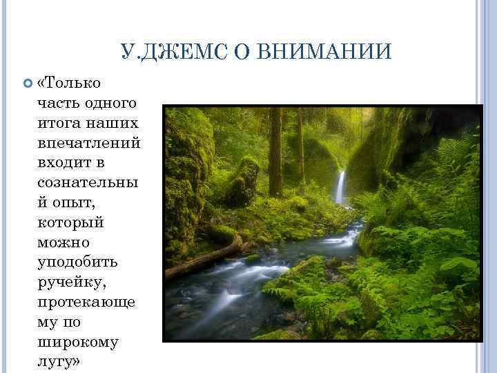 У. ДЖЕМС О ВНИМАНИИ «Только часть одного итога наших впечатлений входит в сознательны й