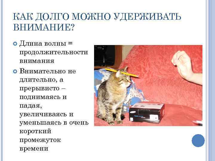 КАК ДОЛГО МОЖНО УДЕРЖИВАТЬ ВНИМАНИЕ? Длина волны = продолжительности внимания Внимательно не длительно, а