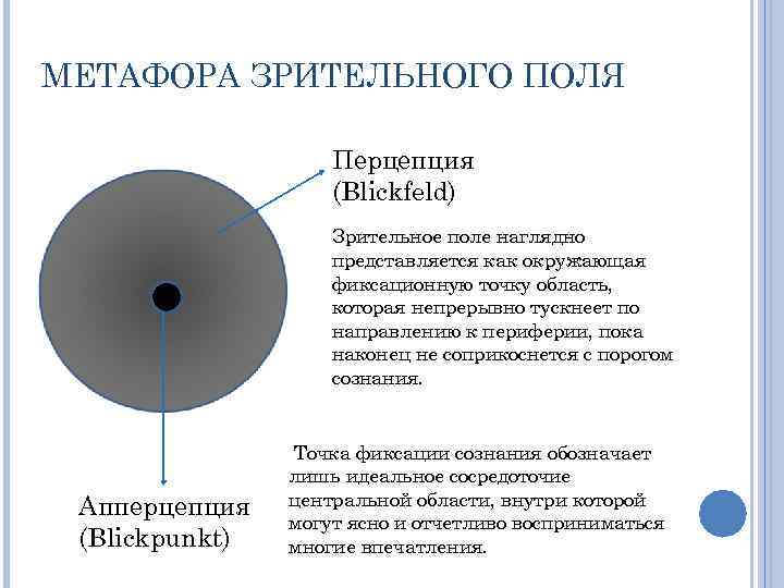 МЕТАФОРА ЗРИТЕЛЬНОГО ПОЛЯ Перцепция (Blickfeld) Зрительное поле наглядно представляется как окружающая фиксационную точку область,