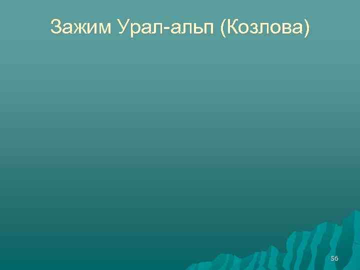Зажим Урал-альп (Козлова) 56 