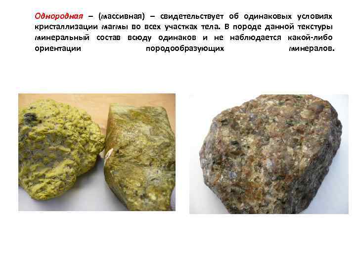 Однородная – (массивная) – свидетельствует об одинаковых условиях кристаллизации магмы во всех участках тела.