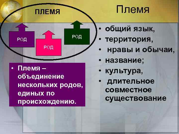 Племя ПЛЕМЯ РОД РОД • Племя – объединение нескольких родов, единых по происхождению. •